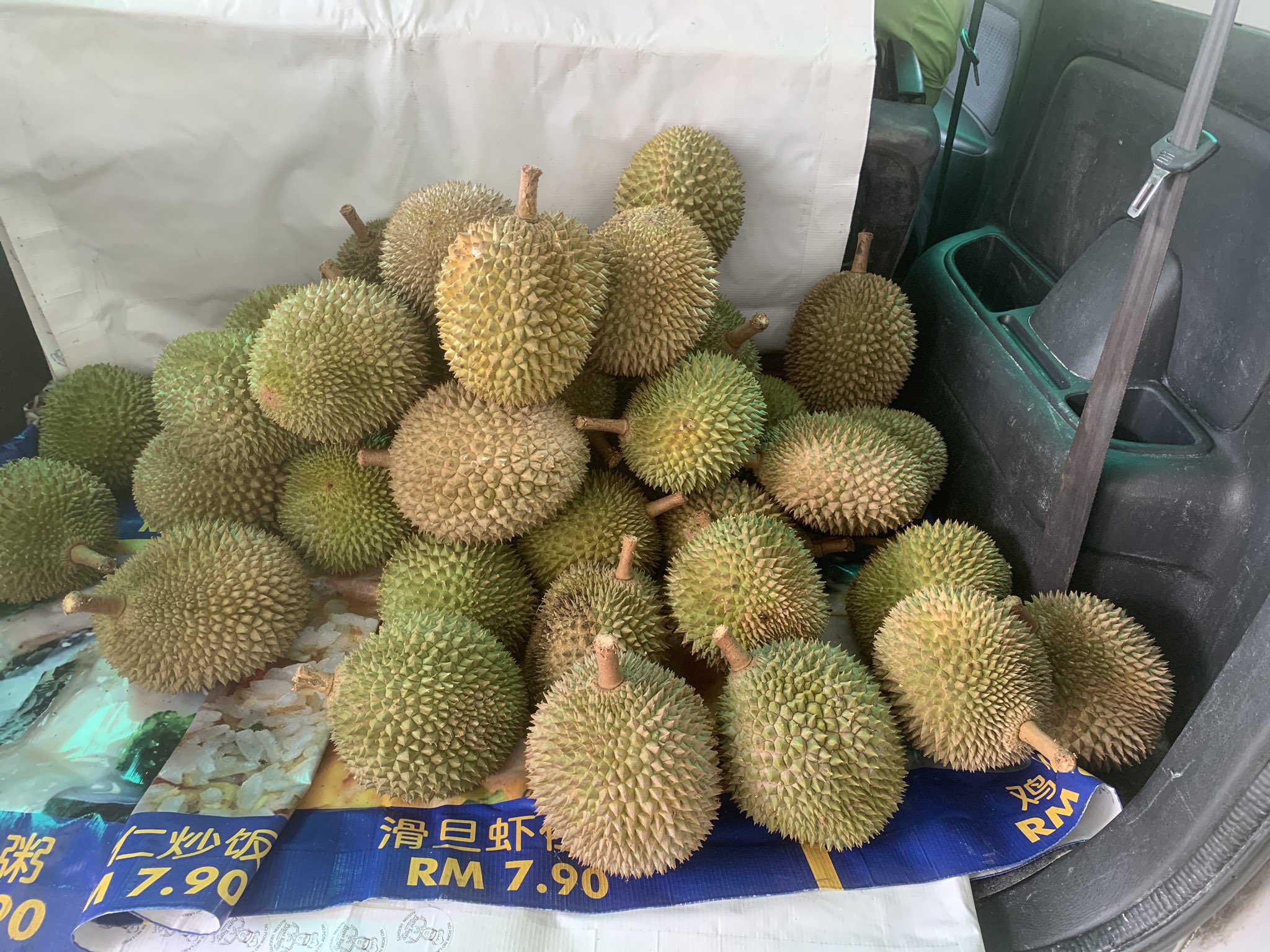 Durian udang merah johor