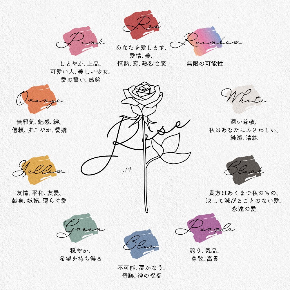 チューリップ 花 言葉 色