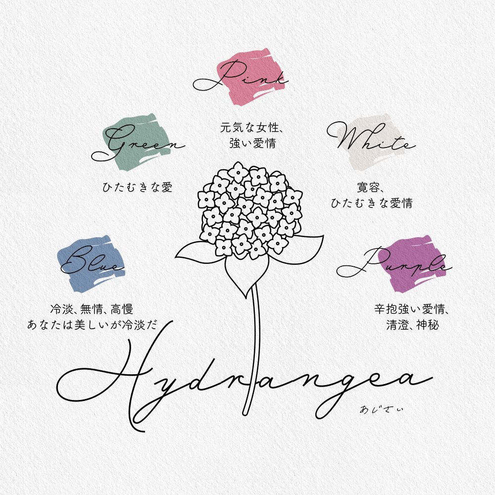 薔薇やチューリップを贈る時に役立つ 色別の花言葉まとめ 話題の画像プラス 薔薇やチューリップを贈る時に役立つ 色別の花言葉まとめ 話題の画像プラス