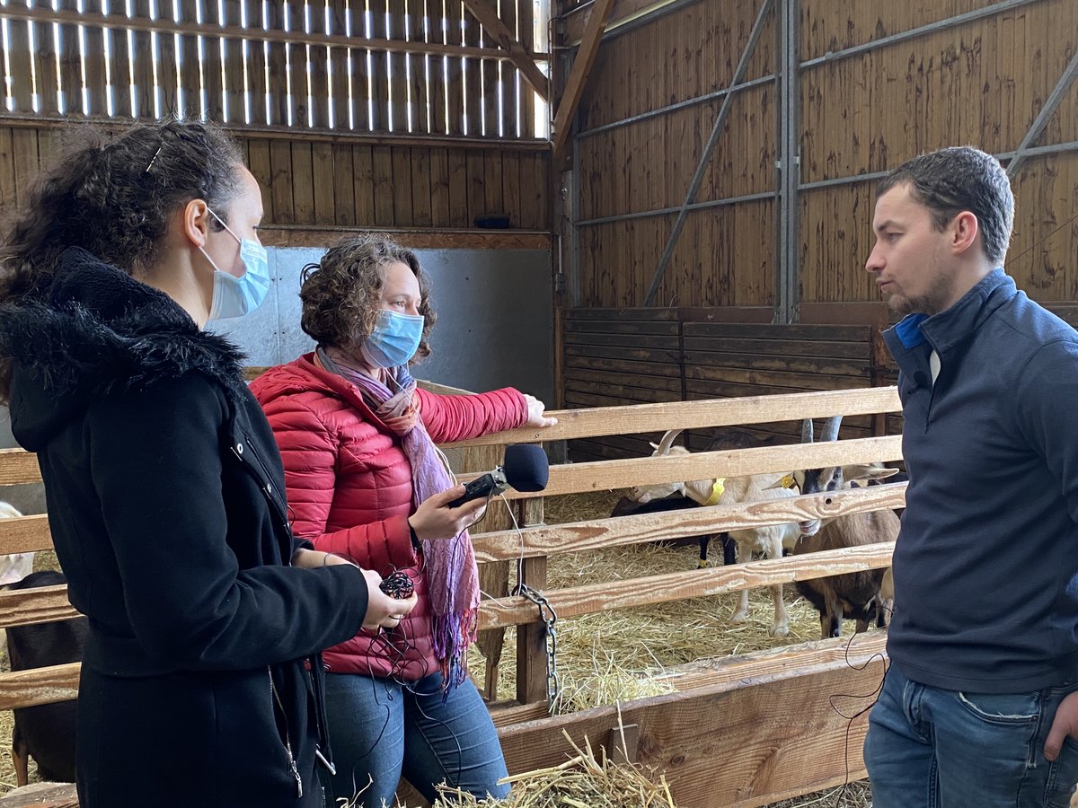 LJuliaude's tweet photo. 🎙 La saison 1 touche à sa fin !

Avec un léger retard en raison de la campagne de financement participatif, le dernier podcast est en préparation et sortira mercredi prochain !! 🗓

Une idée du thème du dernier épisode ? 💬

#podcast #agriculture https://t.co/9FyIAahPy6