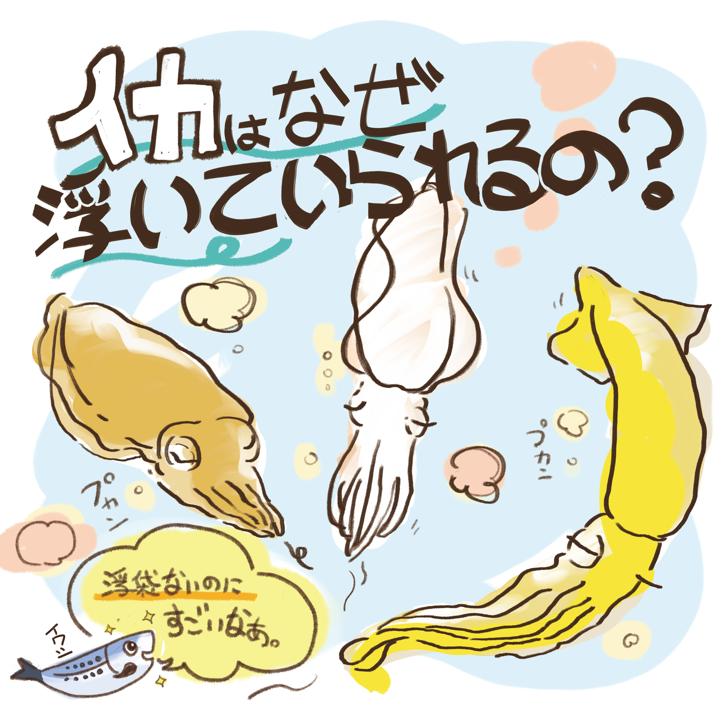 あさりしょかん えーっ イカが浮く仕組みってこんなに色々あるの Twitter
