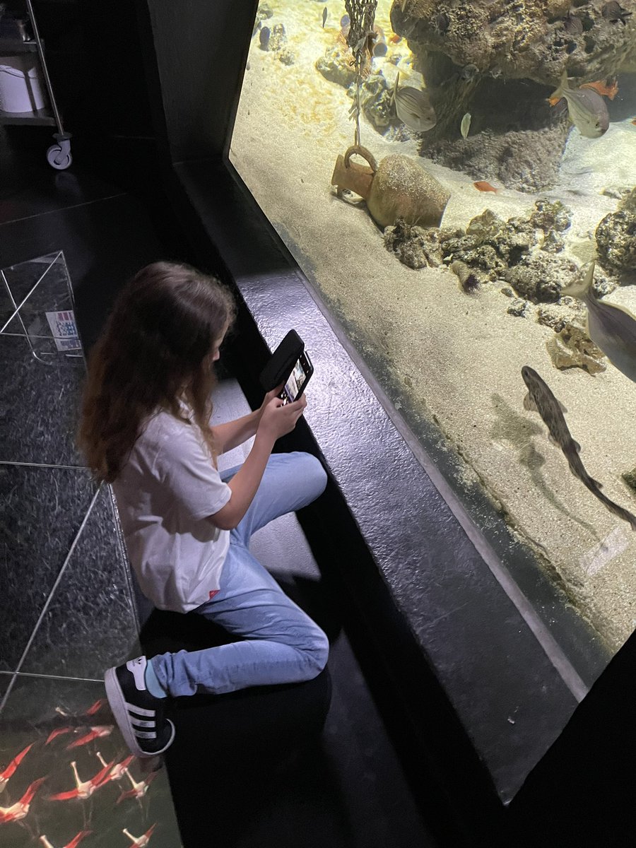 ManaProd's tweet photo. Moi qui prends Sasha en photo qui prend des poissons en photo, on est à quelle niveau d’inception la? 🤣
#Aquatis https://t.co/RXFLPiNLkC