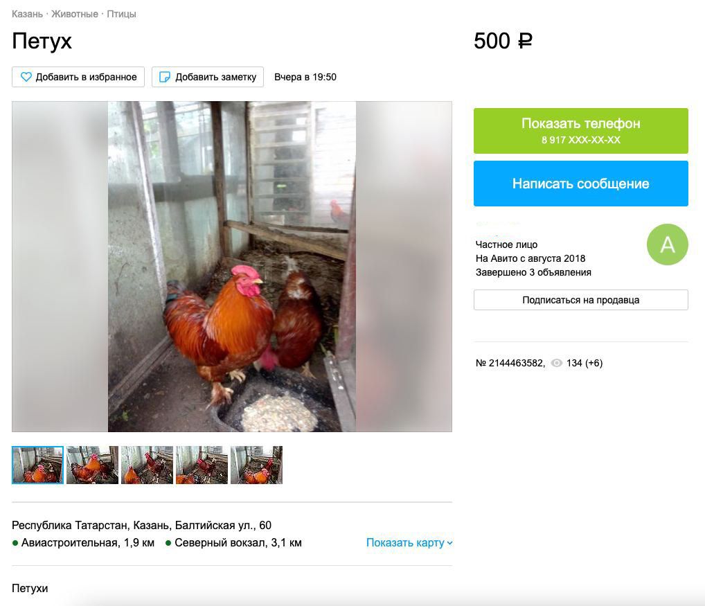 А почему бы не купить петуха?