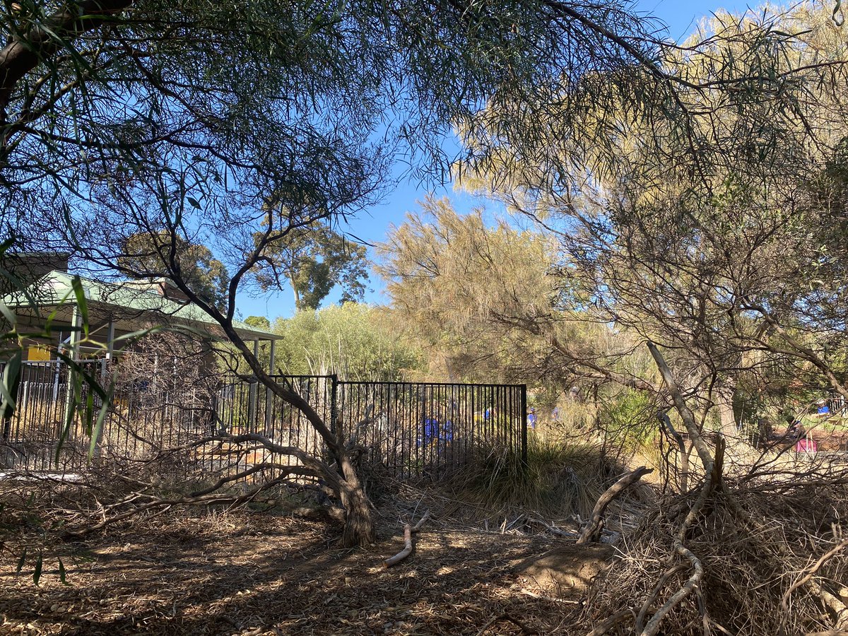 Arbay38's tweet image. Hard to believe it was the same space. Seating and native plants to come. 

#ProjReimaginate