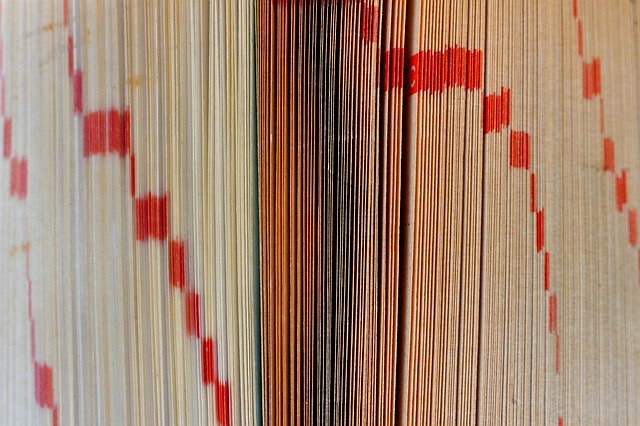Sercumo's tweet photo. "The only place where success comes before work is in the dictionary." --Vidal Sassoon
#motivational #inspiration  #Mindset #Entrepreneur https://t.co/MGHuBURaHT