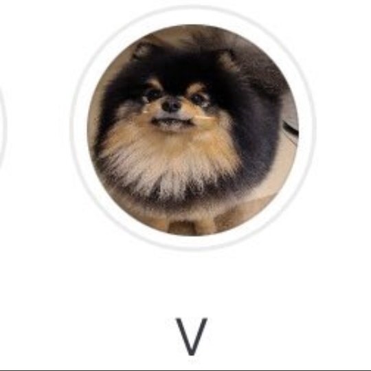 _BtsNews7's tweet photo. 📸 Taehyung got what he wanted by changing his profile picture on Weverse. Now all that's left is the read confirmation… 👀

#BTS #BTSARMY @BTS_twt #TAEHYUNG #KimTaehyung https://t.co/xZzVcPeLEa