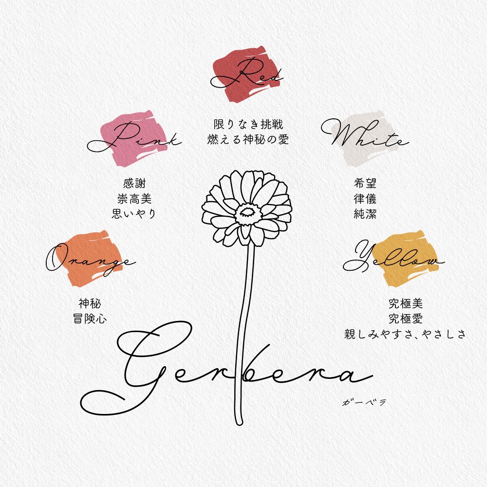 薔薇やチューリップを贈る時に役立つ 色別の花言葉まとめ 話題の画像プラス