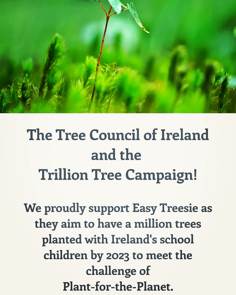 EasyTreesIE's tweet photo. Yes please @HSELive let's get this (#planting) #party started, let's protect our 60+ to the max, so many of our #treeplanters are in this #dynamic #agecategory thanks @laoneill111 and @alankellylabour for highlighting this.#positivity #trilliontree #Restore https://t.co/esLt4ZHMMi