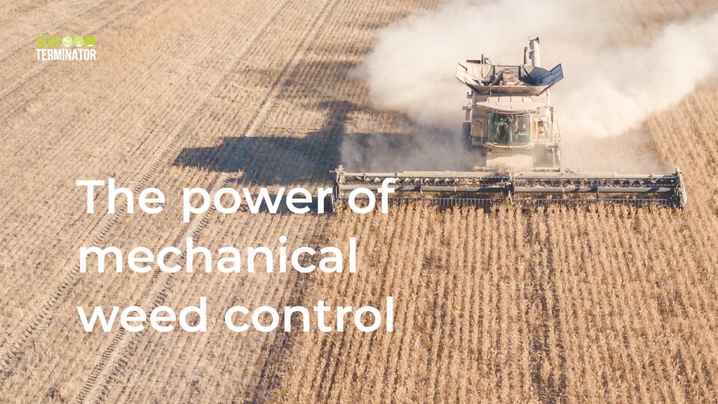 seed_terminator's tweet image. Dr Nick Berry pioneered the science of using a harvester to kill weeds during his PhD in which he developed the fundamental equation to kill weed seeds.
#seedterminator #mechanicalweedcontrol
