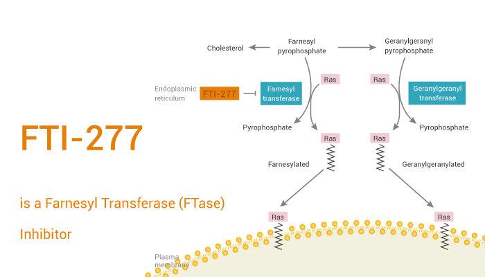 MedChemExpress's tweet photo. FTI-277 is an #inhibitor of farnesyl transferase (#FTase); a highly potent #Ras #CAAX peptidomimetic which antagonizes both H- and K-Ras oncogenic signaling. FTI-277 can inhibit #hepatitis delta virus (#HDV) infection. #drugdiscovery. https://t.co/0FOZWGW9Mb https://t.co/6JYJ8akSie