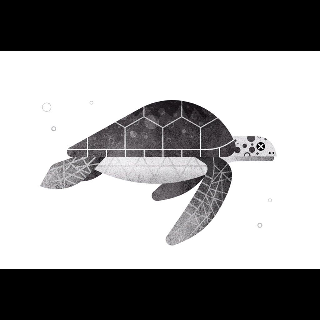 Some ex-Fish. (see previous post)

#illustration #sealife #wildlife #bookillustration #monochrome #savetheoceans