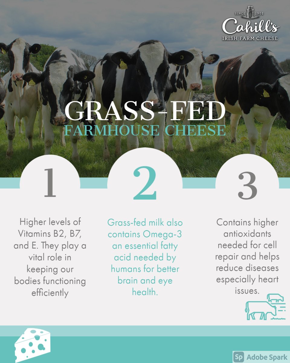 Cahill's Irish Farmhouse Cheese is sourced from Irish grass-fed dairy cows milk. Grass-fed dairy products don't just taste better but it also has several health benefits. Thanks to our warm temperate oceanic grass is easy to grow in Ireland.