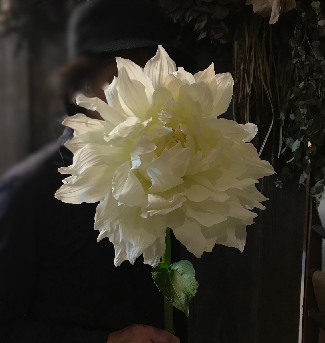 ちょっと顔貸して！

サイズ感がわかるように、
夫の顔の前で持ってもらったこの白くて大きな花は、

ダリアの
《マルコムズホワイト》

すっごく、大きい✨✨

.
.
#あすみが丘花屋
#フルリール
#ダリア
#白の大きなダリア
#マルコムズホワイト
#デカイダリア
#花#flowers
#florist#Dahlia