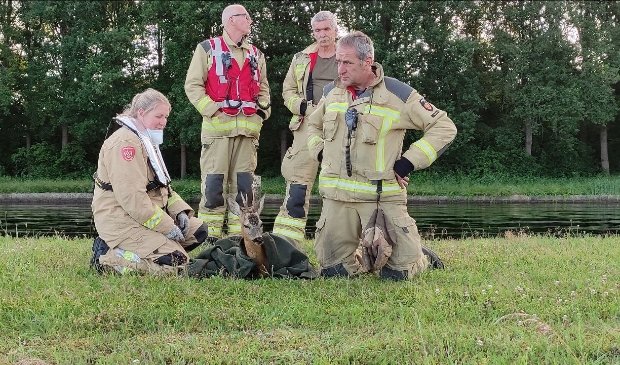 Brandweer redt ree uit Noord-Willemskanaal - ..