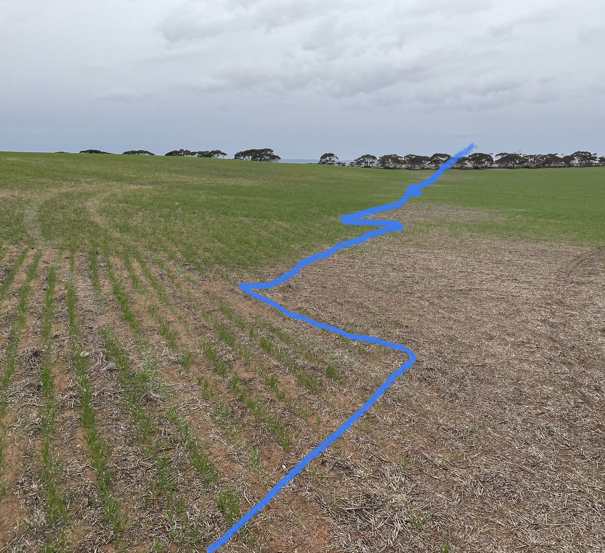 fieldworkssa tweet media