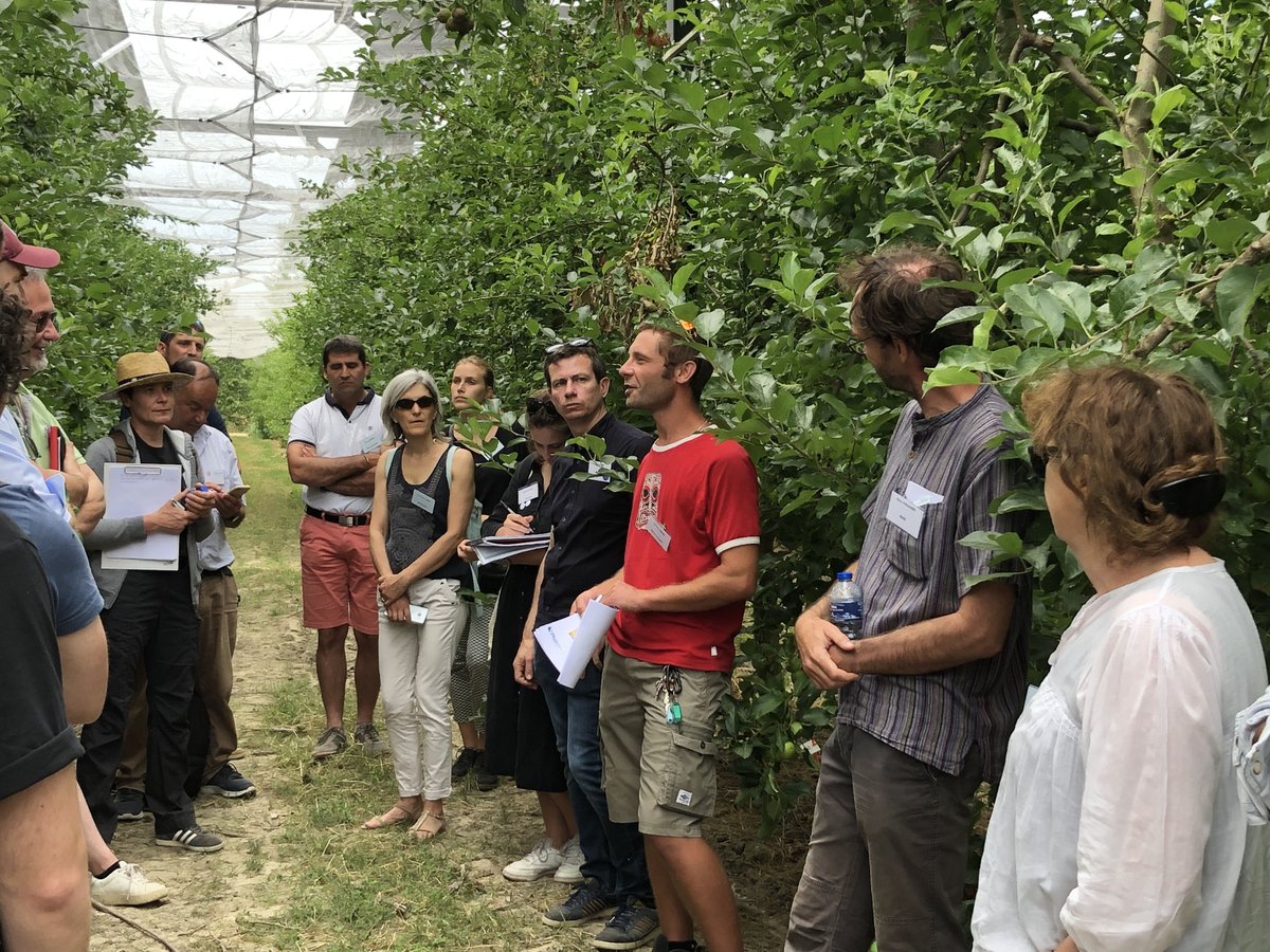 CultivonsDemain's tweet photo. La visite du dispositif expérimental @Sun__Agri se déroule en ce moment avec Vincent Lesniak, ingénieur en expérimentation à la Station expérimentale de La Pugère. https://t.co/GrCjQCL8SC