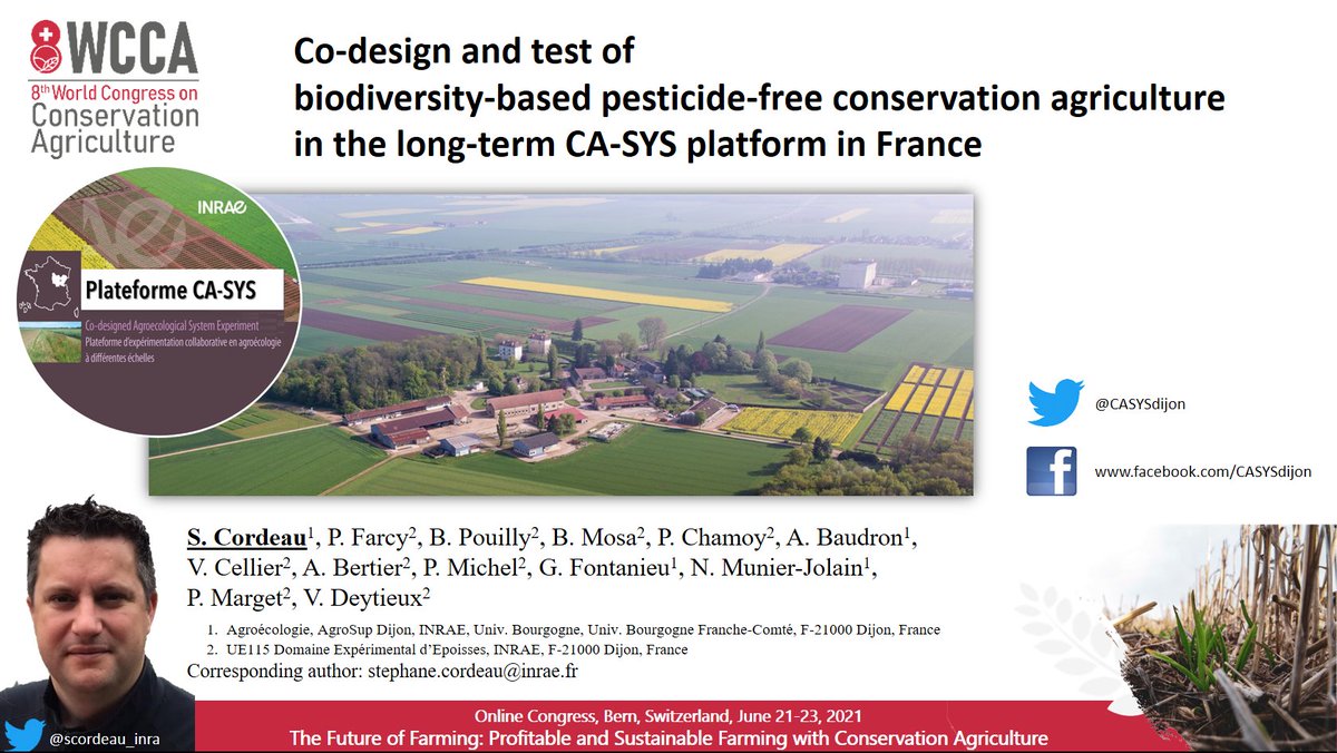 Stéphane CORDEAU tweet media