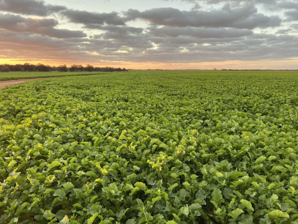 HyTTec Trophy looking the goods west of Moora.