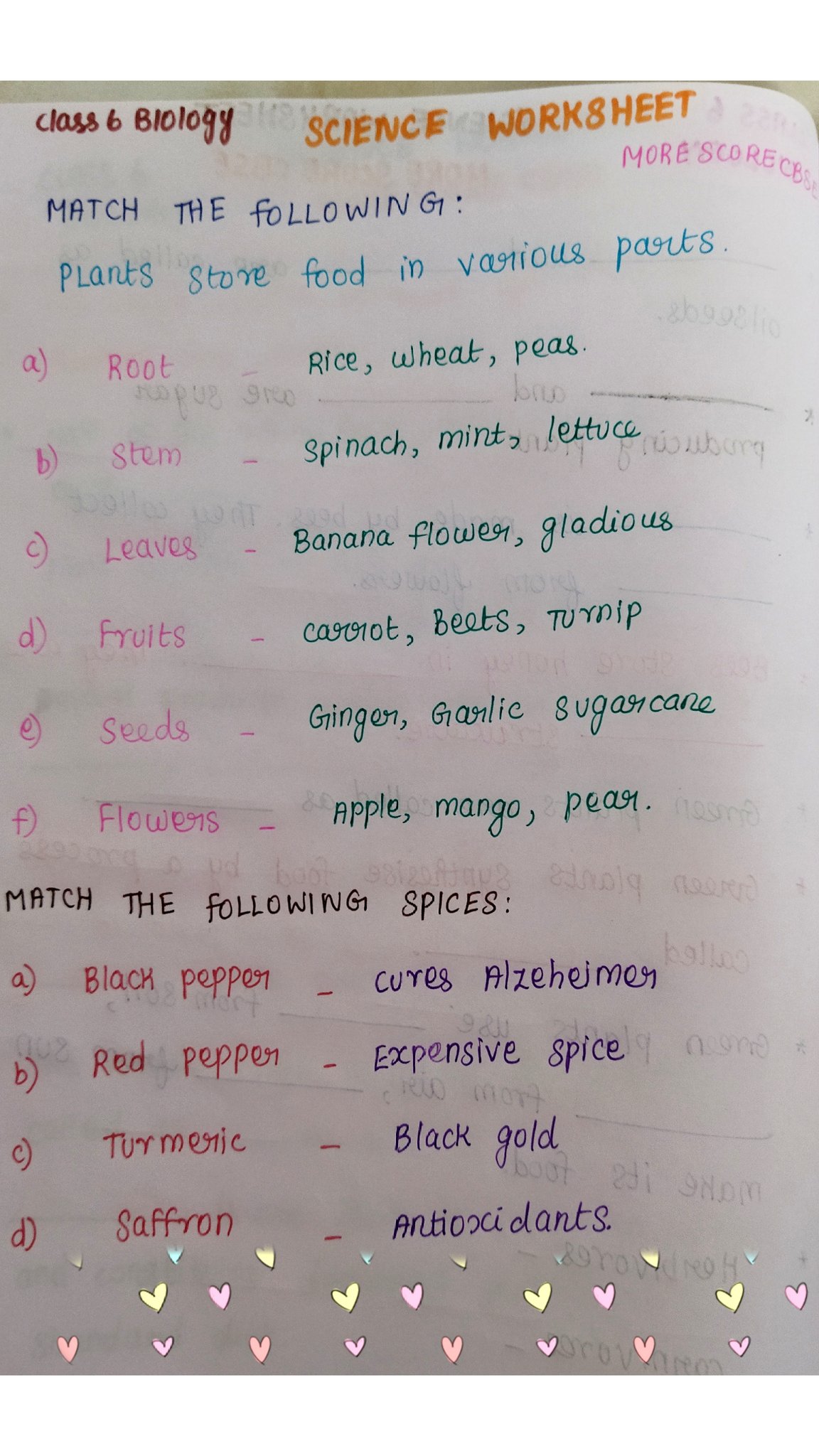 more score cbse on twitter hi science worksheets for kids of class 6 posted visit the link for answers https t co muuaa6k7ef subscribe morescorecbse for more educational videos science classof2021 sidharthshukla edtwt education master