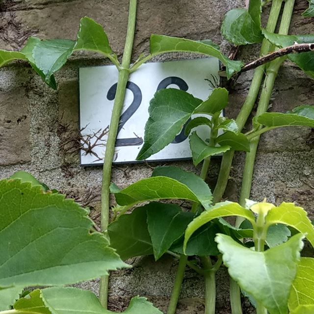 BrandweerFrl's tweet photo. Wist je dat?  Jouw huisnummer vanuit een rijdende brandweerauto zichtbaar moet zijn? Zo zien ze bij een melding snel of ze op het juiste adres zijn. Kijk voor meer informatie op onze website! ➡️ https://t.co/e48GHi7Lxm https://t.co/C7nd3lpJ7x