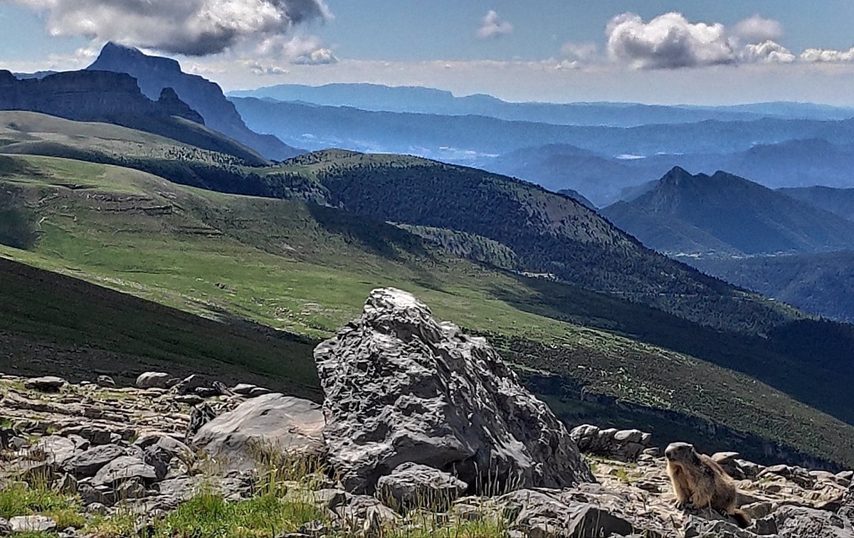Las marmotas en el paraíso 💚❤💜
⛰🏔⛰🏔
#miradoresdeordesa #marmotas
