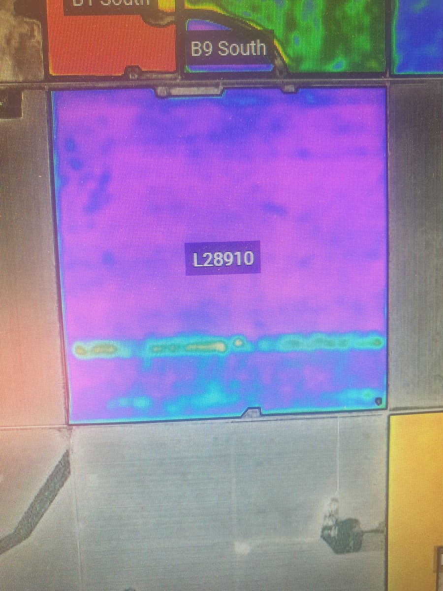 Looks like a good ROI from the mouse bait spread! Didn't really need that reminder