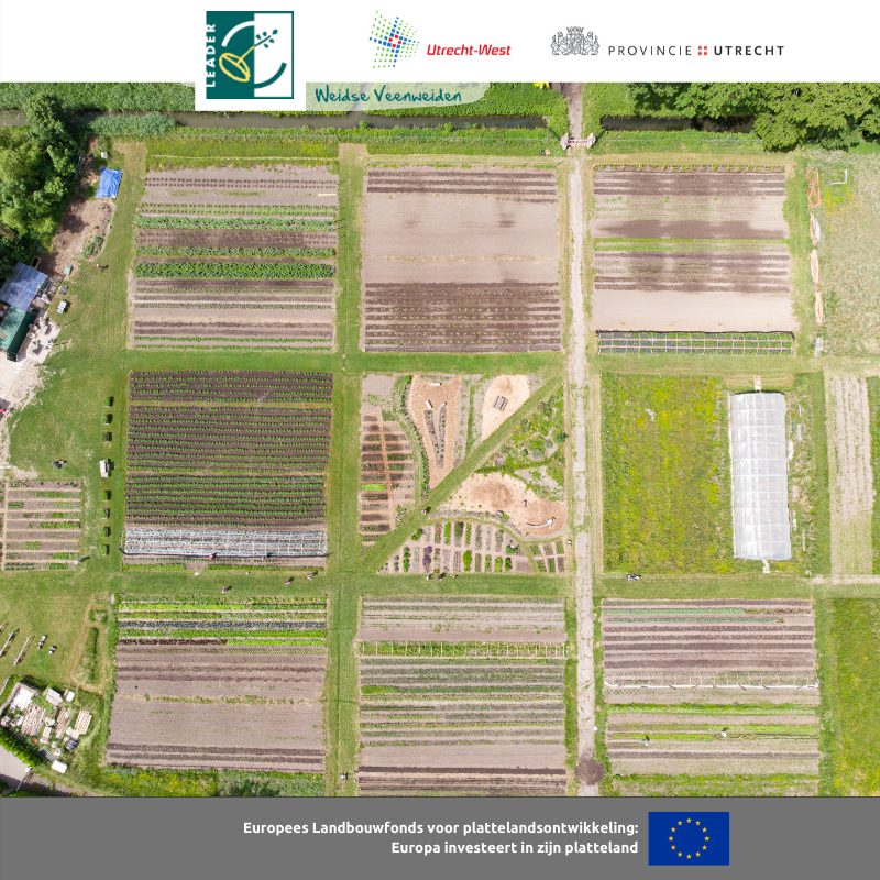 Zaterdag zijn filmopnames gemaakt bij moestuin de Haar in Haarzuilens. Een mooi initiatief waar oogstdeelnemers iedere dag zijn/haar verse groentes kan oogsten 🥦🥬. De video is binnenkort te zien op onze kanalen! 

👉  leaderweidseveenweiden.nl/projecten/de-h…