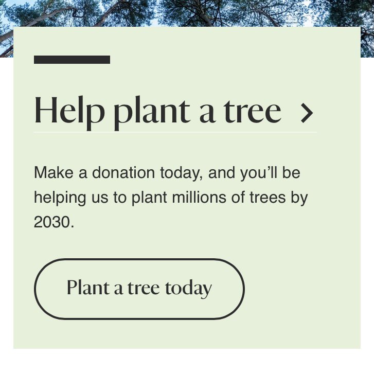 SaveBondsMeadow's tweet photo. We wonder what the @ChtyCommission would think of the @nationaltrust decision to sell off 3 acres of #wildlife rich #woodland to a housing developer - whilst simultaneously appealing for donations to plant #trees. Retweet if you think this needs investigating. #ClimateCrisis https://t.co/lMHhii9vRo