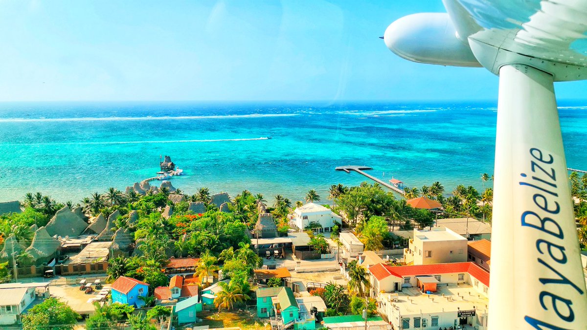 Beach Perfect BZ tweet media