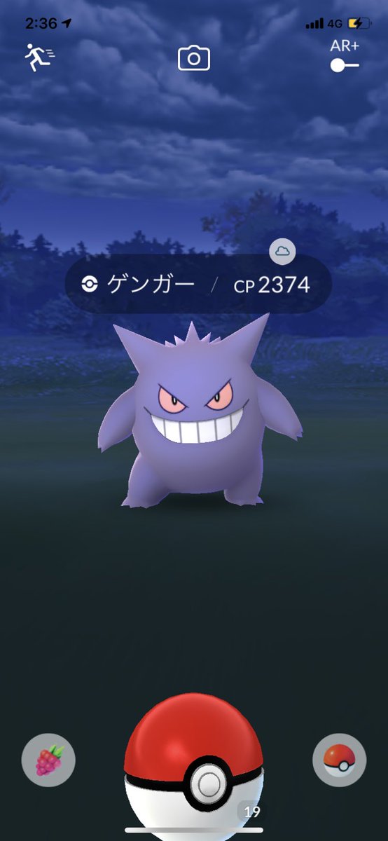 最終進化系 最終進化系