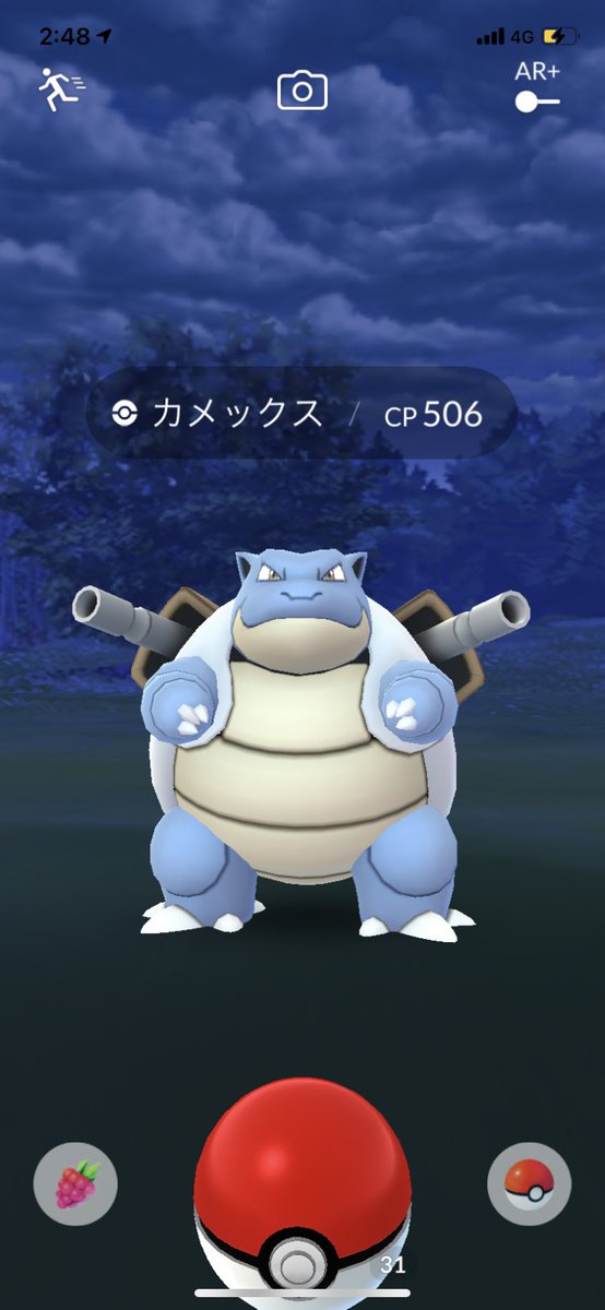 最終進化系 最終進化系