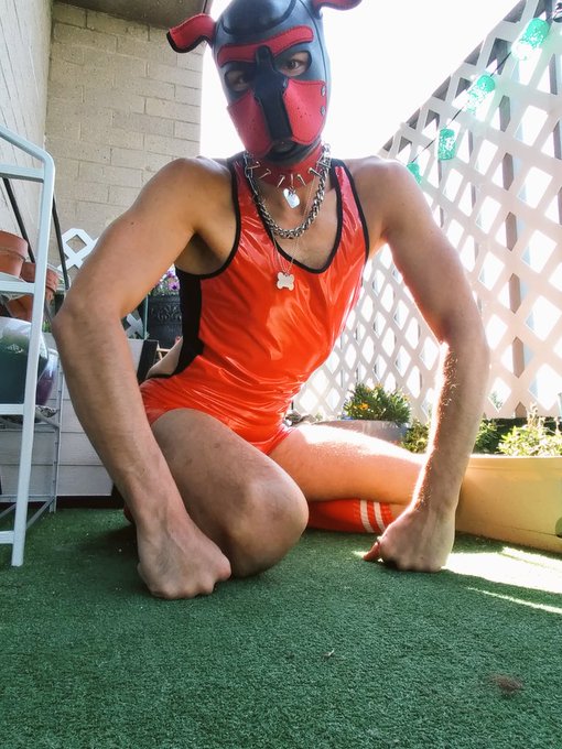 4 pic. Gooooood morning! 
#goodmorningpup #GoodMorningTwitterWorld #gaygoodmorning #gaypup #puppyplay