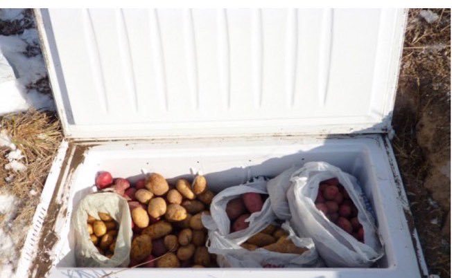 OPrepared's tweet image. Exploring some small root cellar options. What do you think? #OzarksPrepared #Prepper #Shtf #Prepper #Bushcraft #Survival #FoodStorage #BugOutBag #GetHomeBag #Nature #Adventure #DIY #prepperfoodstorage #foodstorage #rootcellar