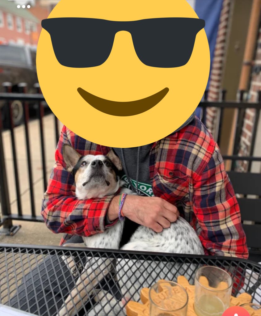 Just looking for someone to look at me like this dog looks at this man #SwipeRight #DogsOfDatingApps #Tinder