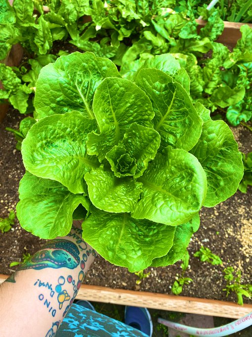 Watch 🌈 kezia slater💘's leaked NSFW photo on TwXstars