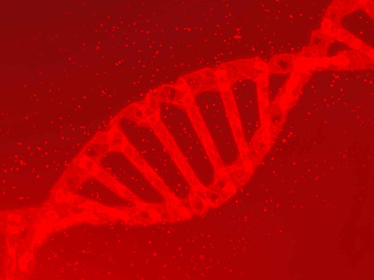 pbmclinic's tweet photo. Scientists have discovered that applying PBM Therapy to 'normal tissues/cells' enhances how they work making them more resistant to damage #Derby #NovoTHOR #PBM #PBMTherapy #PBMTherapyClinic #PBMT #Photobiomodulation #Preconditioning #UVlight #Wellness
https://t.co/8eDwrnxBOa https://t.co/bhNHG09Ioy