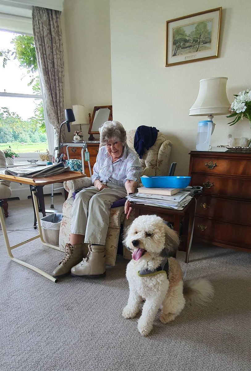 Birtley House Nursing Home had a special visitor last week - MEET JASPER! 🐶 #WecareforEngland