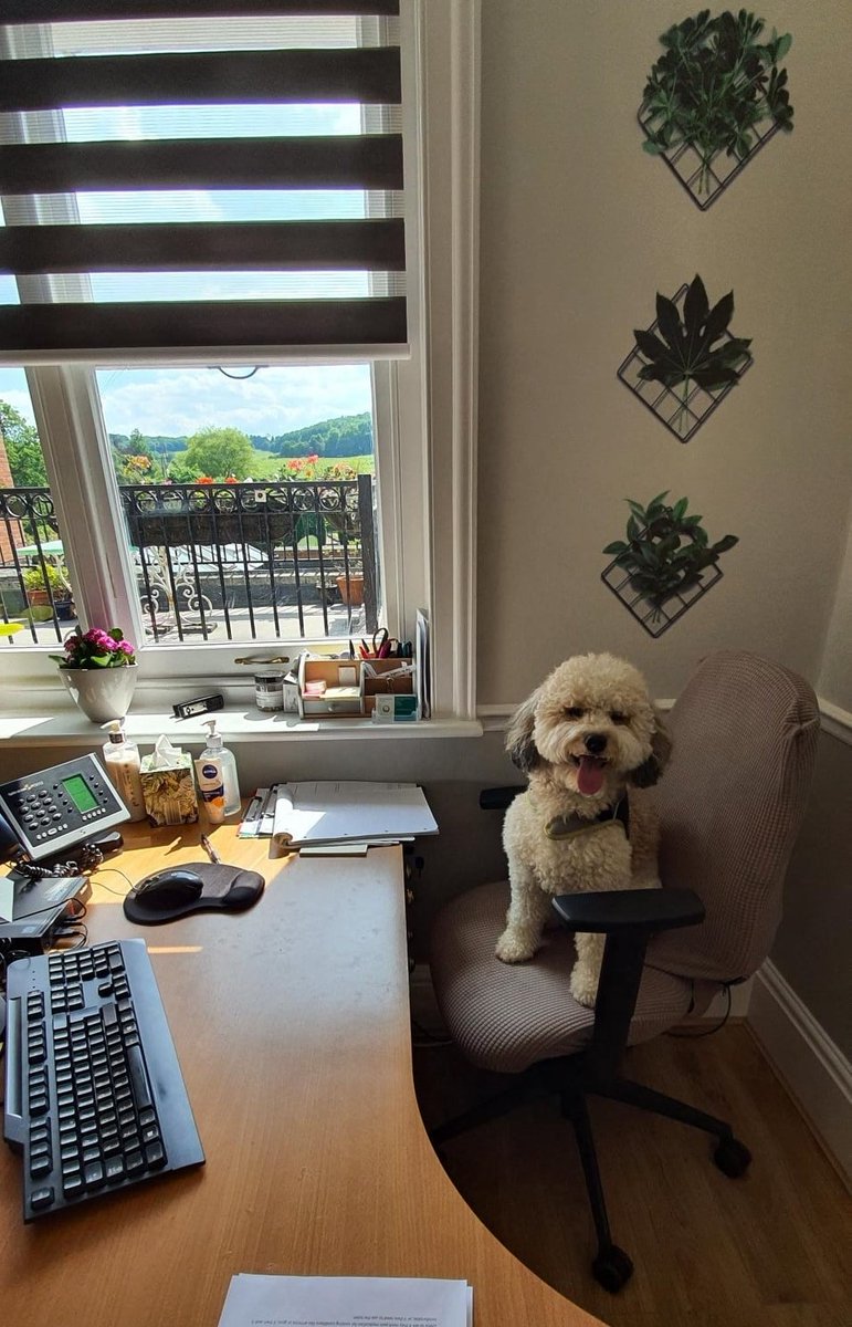 We Care For England tweet media