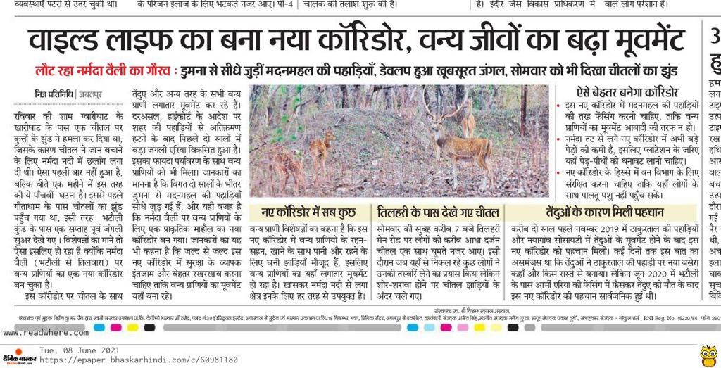 devprof's tweet image. क्या यह सही नहीं है की प्रारंभिक रूप से जिस रास्ते आप स्पोर्ट्स काम्प्लेक्स की ज़मीन पर गए वह पिछले वर्ष हज़ारो पेड़ काटे गए? 

Khandari Dam was built in February, 1883 under J.H. Morris, Chief Comm. of the Central Provinces and Berar

DUMNA NATIONAL PARK