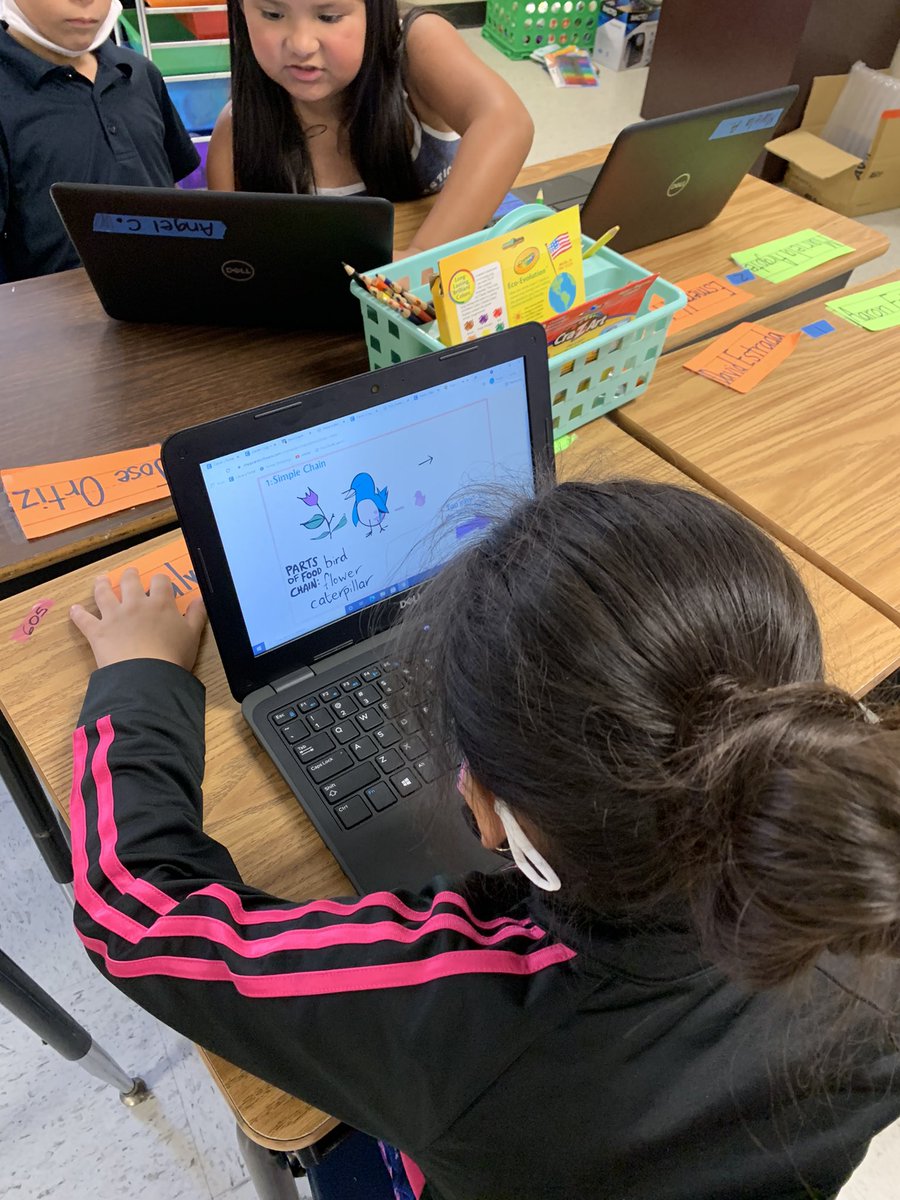 We are Off the Chain! #TeamUSA 1st graders doing research and playing games on food chains! #CampEscamilla 🌿🐛🐭🐍🦉@SamBriseno26