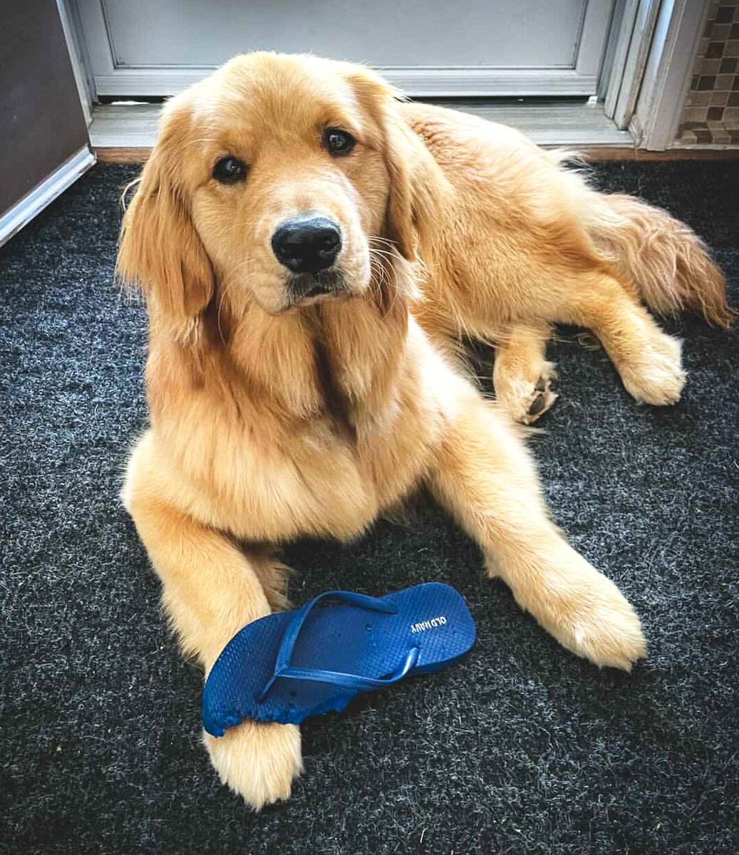 repost from Winter_TheGolden: "the artist &amp; her masterpiece" 

#spottedinoldnavy