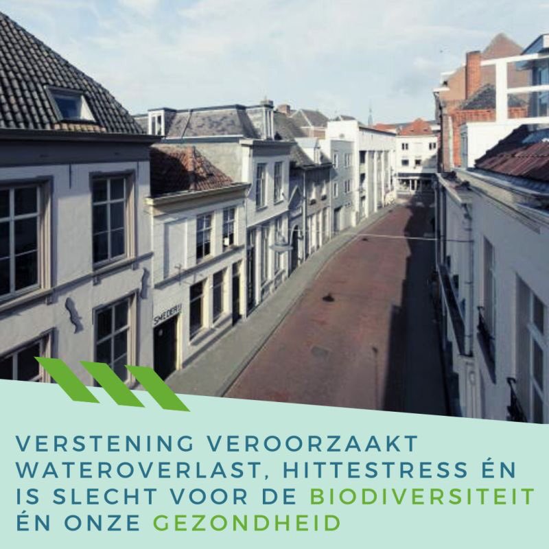 De Groene Plaatsmakers tweet media