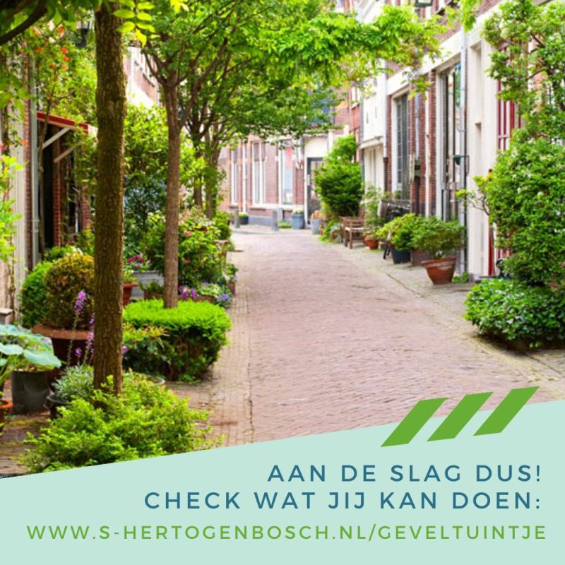 De Groene Plaatsmakers tweet media