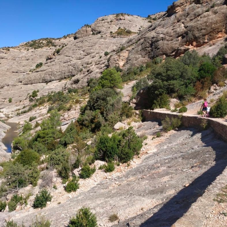 Benvinguts i benvingudes a la nostra primera activitat del 2021!
Esperem que tingueu moltes ganes de començar a fer Conlloga amb nosaltres!
Us podeu inscriure a l'activitat a través del formulari:
docs.google.com/forms/d/e/1FAI…
Per a qualsevol dubte, no dubteu en escriure'ns!