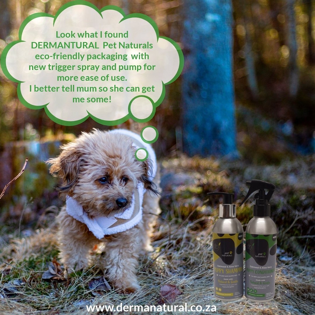 dermanaturalsa's tweet photo. 🐾🦋🌻🍃Look what I found DERMANATURAL Pet Naturals eco-friendly packaging with new trigger pump for more ease of use. I better tell mum so that she can get me some!🍃🌻🦋🐾
#ecofriendly are #ecofriendly #zerowaste #sustainable #sustainability #eco #gogreen #sustainableliving https://t.co/yWWaN1T88R