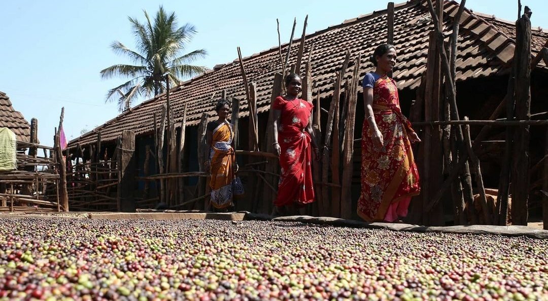 JobsWeMake's tweet photo. 📢 #IMEDF recognised as #SDG Good Practice !
It is a special purpose vehicle of the @DAperspectives that accelerates the development of micro-enterprises at scale. 
🔗 Read more about the practice here: https://t.co/FVcIVxgvOE
@SustDev #jobswemake https://t.co/1LQtnYGfj3