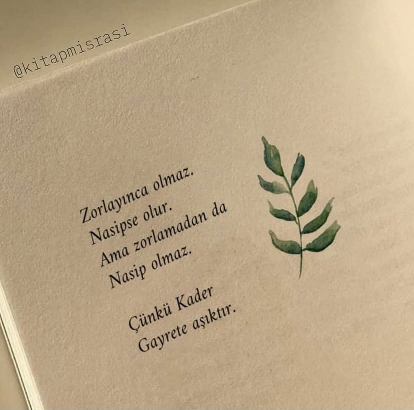 Çünkü Kader Gayrete Aşıktır☘️