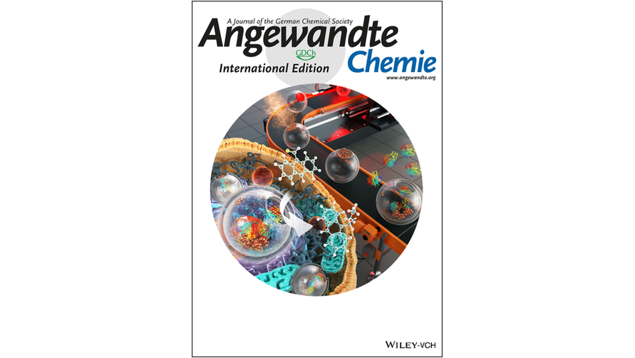 angew_chem's tweet photo. #OnTheCover Silica Jar-with-Lid as Chemo-Enzymatic Nano-Compartment for Enantioselective Synthesis inside Living Cells (Lee) https://t.co/cCDq2ITehi @CPostech https://t.co/eEiBH3rzSE