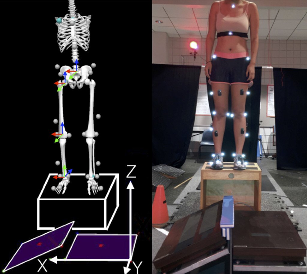 How does chronic ankle instability affect lower-extremity joint coordination and stiffness during landing?

doi.org/10.1123/jab.20… #biomechanics