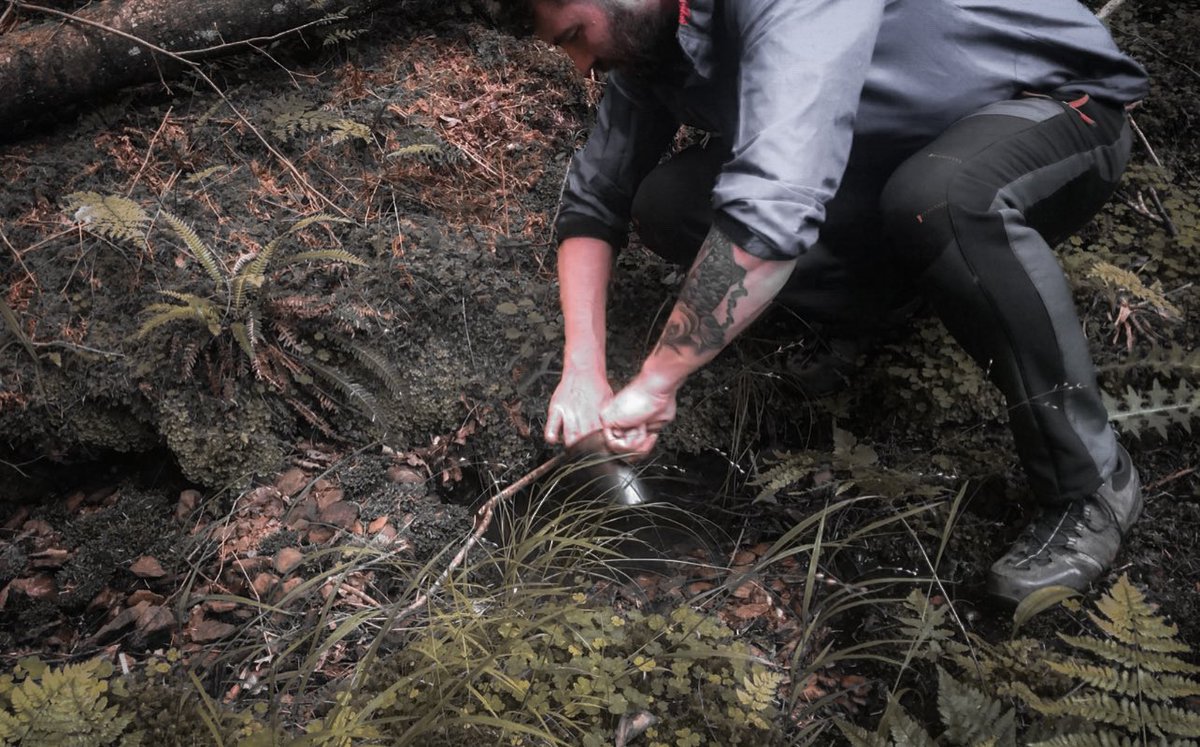 B3060J's tweet photo. 📍 ℕ𝕠𝕣𝕥𝕙 𝕐𝕠𝕣𝕜𝕤𝕙𝕚𝕣𝕖

Doing the dishes woodland style..

#wilcamping #wildcampinguk #hammockcamping #outdoorscooking #wildcooking #responsiblefire #leavenotrace #bushcraft #nature #survival #outdoors #forests #adventure #northyorkshire #northyorkshiremoors #yorkshire https://t.co/VsS9BV8oxs
